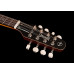 Мандоліна електроАкустична SEAGULL S8 Mandolin Sunburst EQ