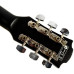 Акустична гітара EQUITES EQ600C BK 38 