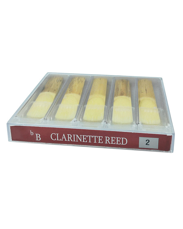 MAXTONE Bb Clarinet #2.0 - 10 Box