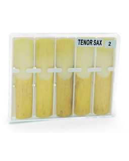 MAXTONE RTC-10 Tenor Saxophone #2.0 - 10 Box