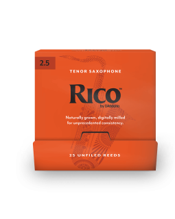D'ADDARIO Rico - Tenor Sax #2.5 (1шт.)-foto2