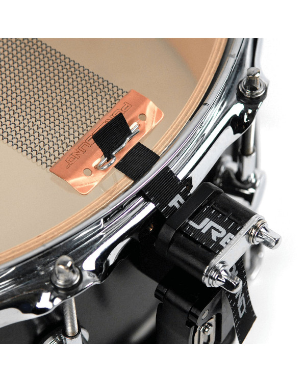 PURESOUND CPS1320 13" CUSTOM PRO SERIES