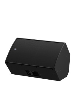 YAMAHA DZR15-foto5
