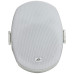 PEAVEY Impulse 5c (White)