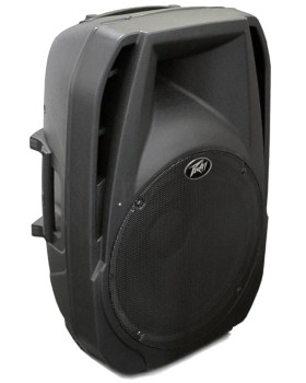 PEAVEY PBK12PB