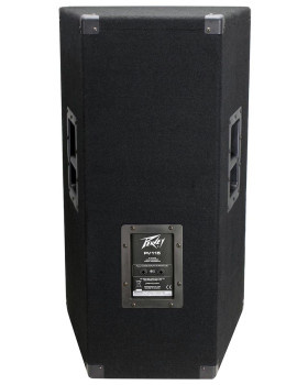 Акустична система PEAVEY PV 115-foto3