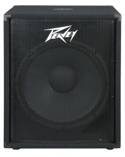 Акустична система PEAVEY PV 118-foto2