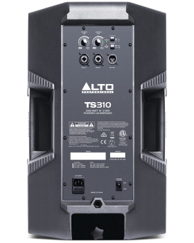 ALTO PROFESSIONAL TS310-foto2