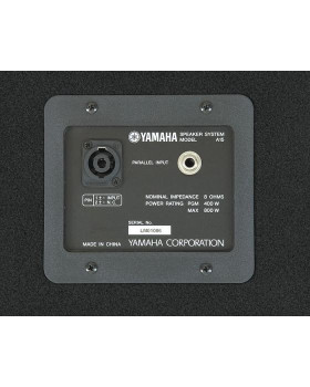 Акустична система YAMAHA A15-foto3