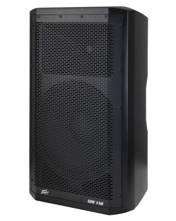PEAVEY DM112-foto4