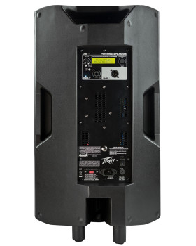 PEAVEY DM112-foto3
