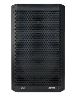 PEAVEY DM115-foto2