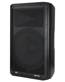 PEAVEY DM115-foto4