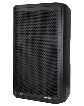 PEAVEY DM115-foto4