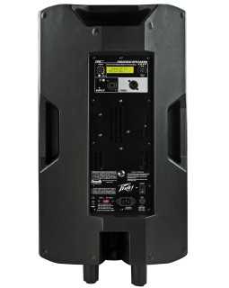 PEAVEY DM115-foto3
