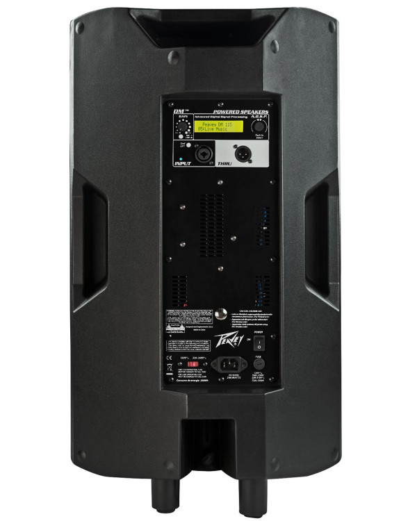 PEAVEY DM115