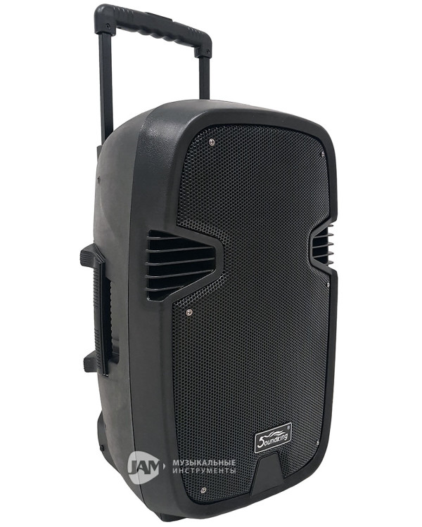 SOUNDKING LS331