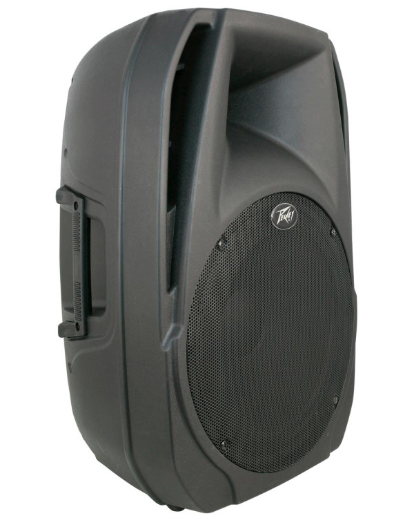 PEAVEY PBK15PB