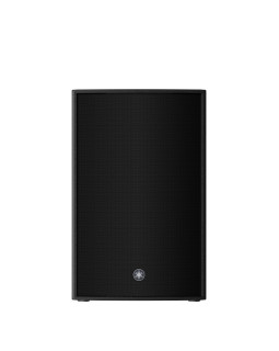YAMAHA DZR12-foto2