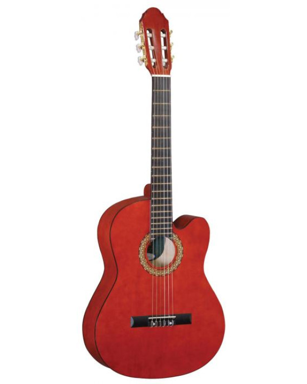 Гітара класична MAXTONE CGC-3910C