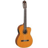 Гітара класична YAMAHA CGX122MCC