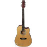 Акустична гітара PARKSONS JB4111C (Natural)