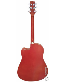 Акустична гітара PARKSONS RFG111-41CNF-foto2