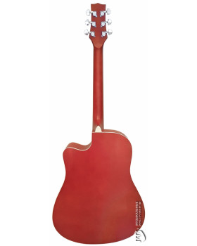 Акустична гітара PARKSONS RFG111-41CNF-foto2
