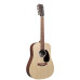 12-струнна гітара MARTIN D-X2E 12 STRING