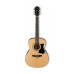 IBANEZ VC50NJP NT Гітарний набір