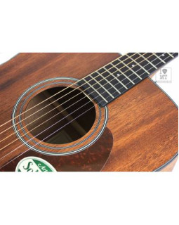 IBANEZ AW54 OPN Гітара акустична-foto15