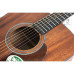 IBANEZ AW54 OPN Гітара акустична