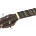 IBANEZ AW54 OPN Гітара акустична