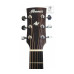 IBANEZ AW54 OPN Гітара акустична