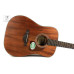 IBANEZ AW54 OPN Гітара акустична