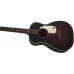 GRETSCH G9500 JIM DANDY FLAT TOP F-BOARD 2TSB Гітара акустична