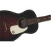 GRETSCH G9500 JIM DANDY FLAT TOP F-BOARD 2TSB Гітара акустична