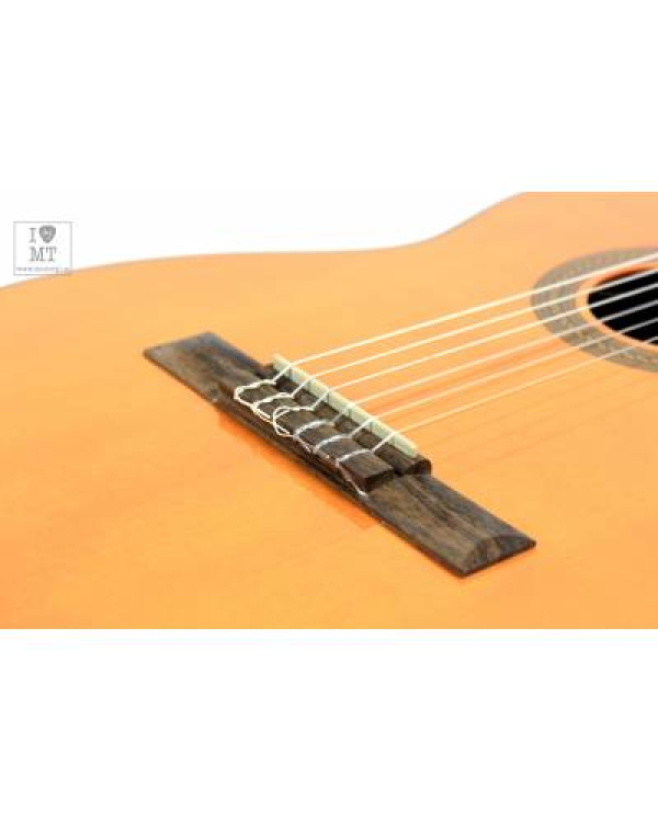 TAKAMINE GC1CE NAT Гітара класична