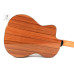 TAKAMINE GC1CE NAT Гітара класична