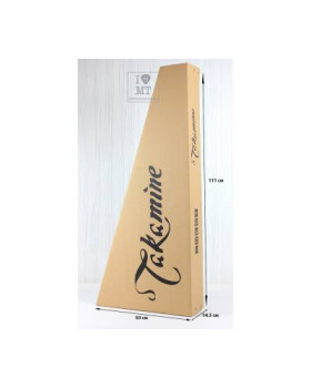 TAKAMINE GD20-NS Гітара акустична-foto19