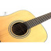 TAKAMINE GD20-NS Гітара акустична