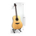TAKAMINE GD20-NS Гітара акустична