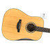 TAKAMINE GD20-NS Гітара акустична