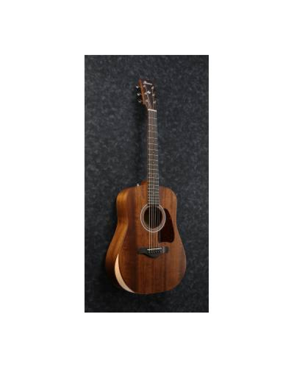 IBANEZ AW54JR OPN Гітара акустична