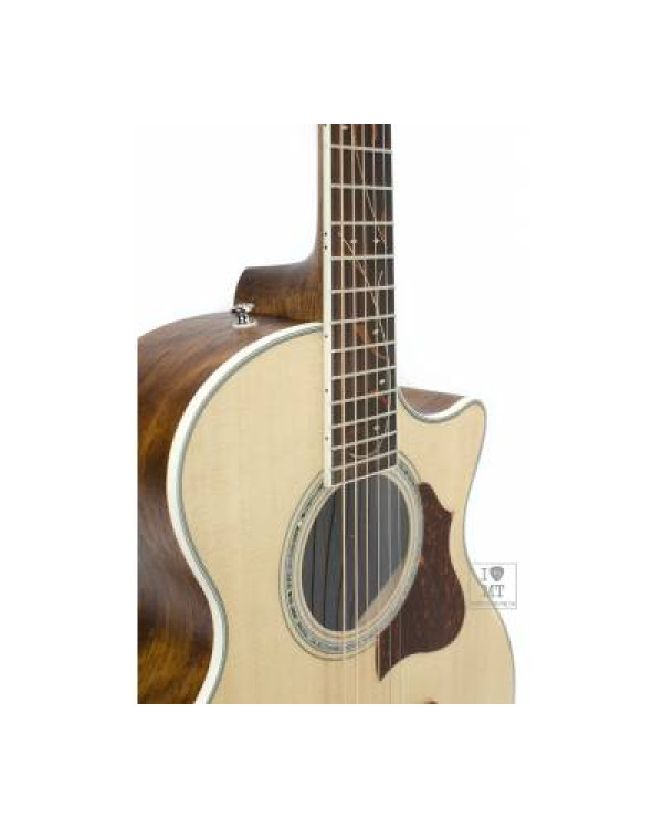 IBANEZ AE205JR-OPN Гітара електроакустична