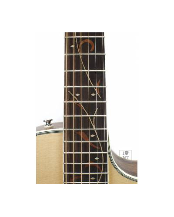 IBANEZ AE205JR-OPN Гітара електроакустична