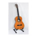 EPIPHONE PRO-1 CLASSIC 3/4 Гітара класична