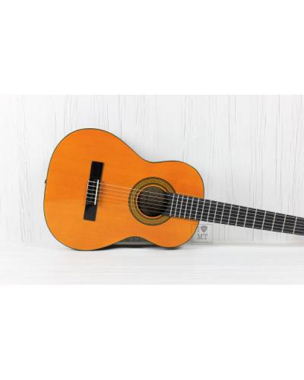 EPIPHONE PRO-1 CLASSIC 3/4 Гітара класична