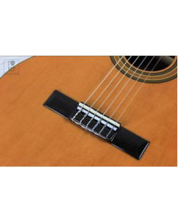 EPIPHONE PRO-1 CLASSIC 3/4 Гітара класична-foto12