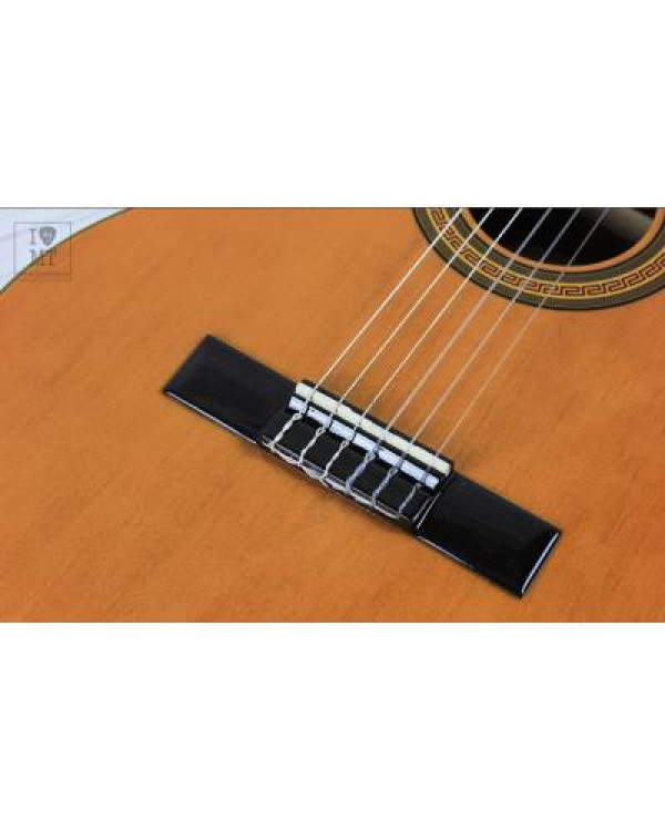 EPIPHONE PRO-1 CLASSIC 3/4 Гітара класична